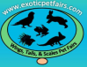 Exotic Pet Fair