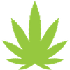 Cannafest Prague