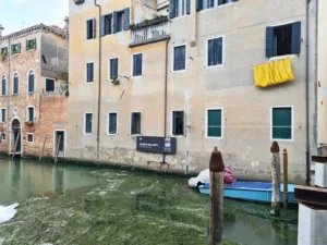 temporary construction for Biennale in Venice 2
