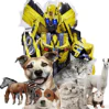 Pet Adoption Extravaganza