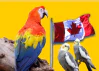 Canadian National Cage Bird Show And Expo