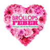 Brollops Feber Malmo