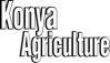 Konya Agriculture Fair