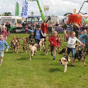 Honiton Showground