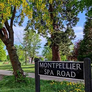 Montpellier Gardens