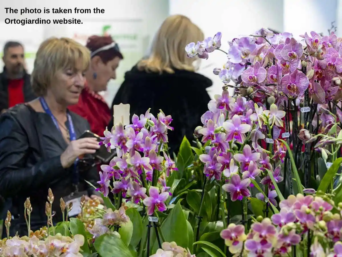 Ortogiardino  2027 stand in Pordenone with garden display and meeting area at Pordenone Fiere