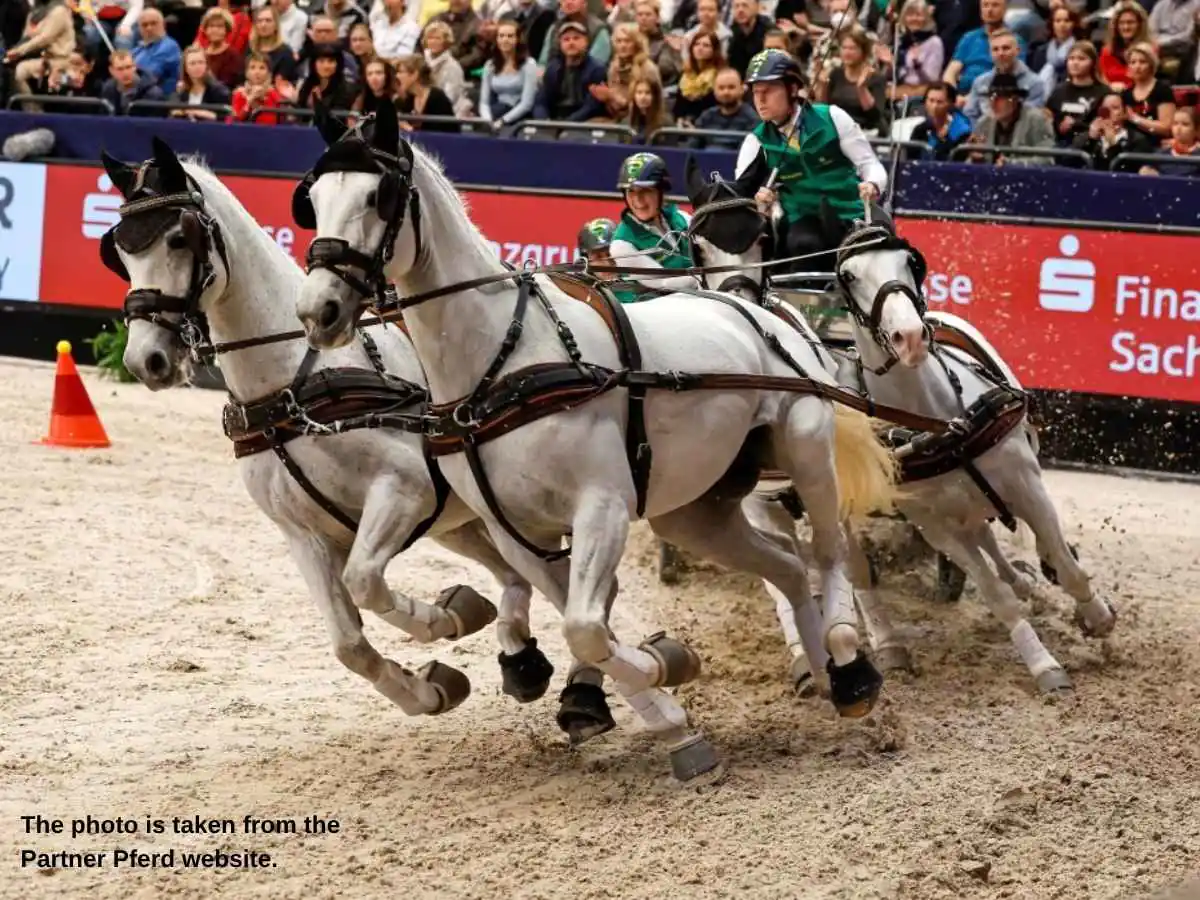 Partner Pferd  2027 exhibition stand in Leipzig with horse care demo zone and meeting area