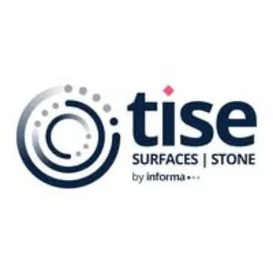 TISE Surfaces