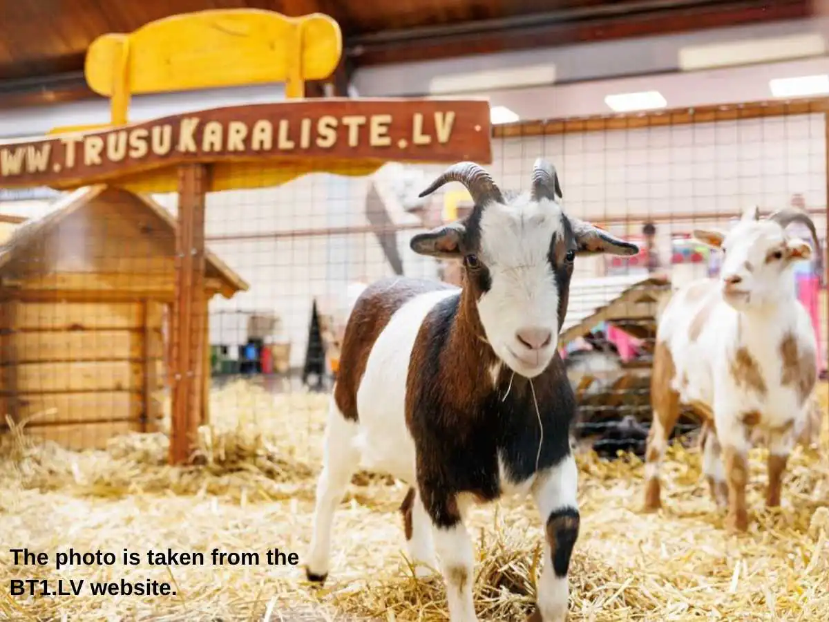 ZooExpo  2026 stand in Riga with veterinary meeting area at International Exhibition Centre